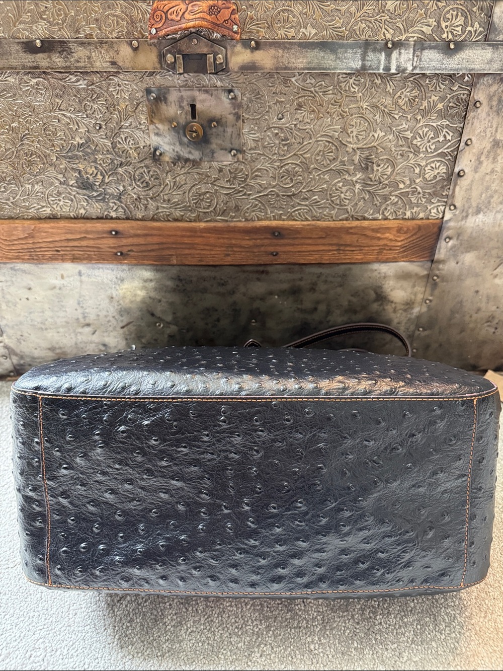Dooney & Bourke Alto Ostrich Camilla in Black - Picture 5 of 15
